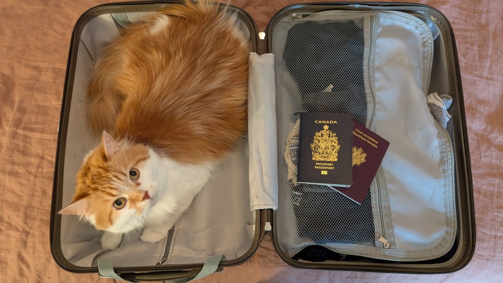 Plan C : des&nbsp;détails